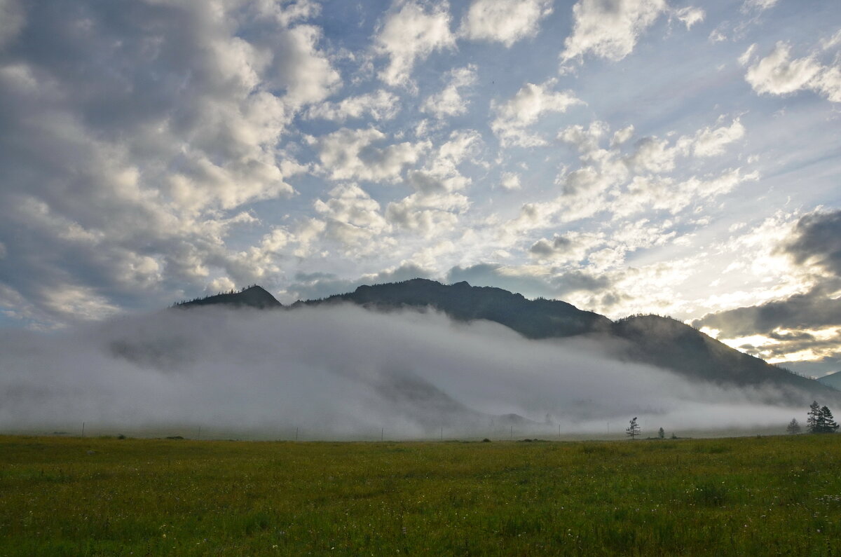 Гора в тумане - Галина 