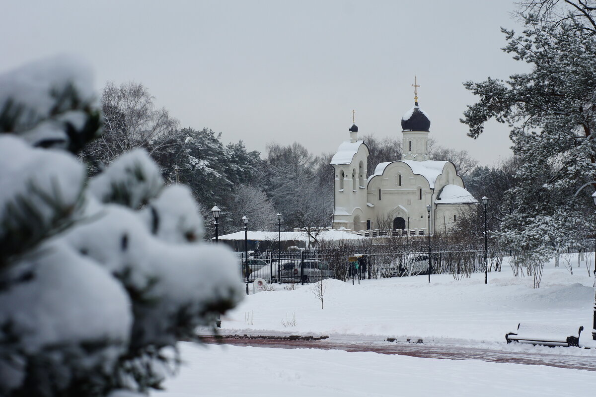 Переделкино - Ninell Nikitina