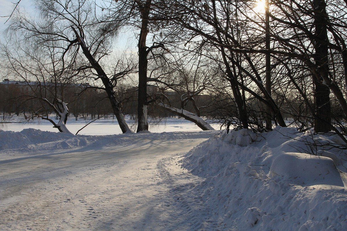Зимой в городском парке - Игорь Белоногов