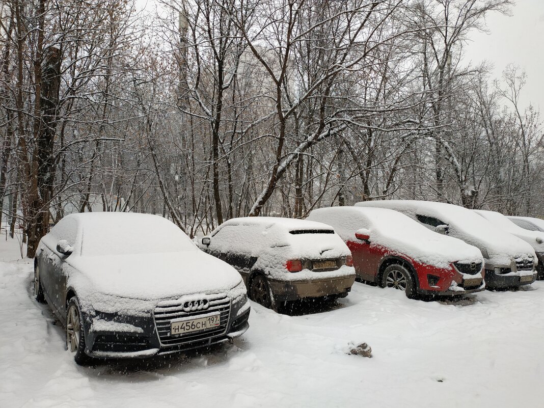 Снег идет, снег идет ... - Андрей Лукьянов