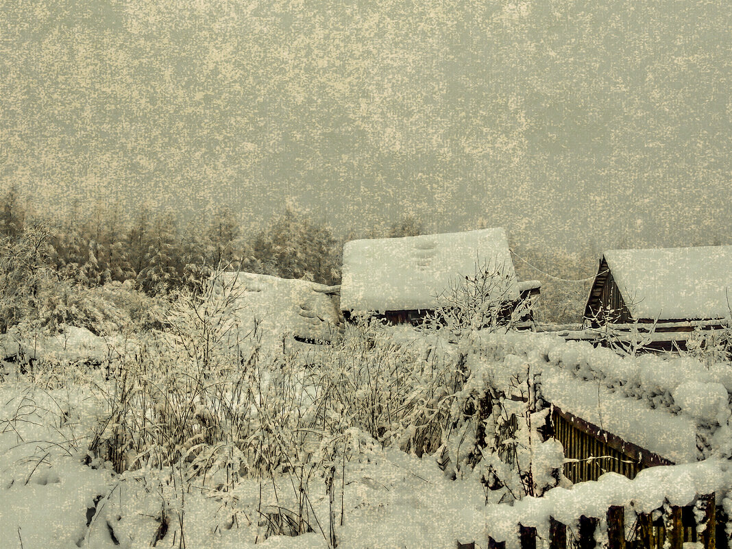 зимний день в деревне - Дима Дима