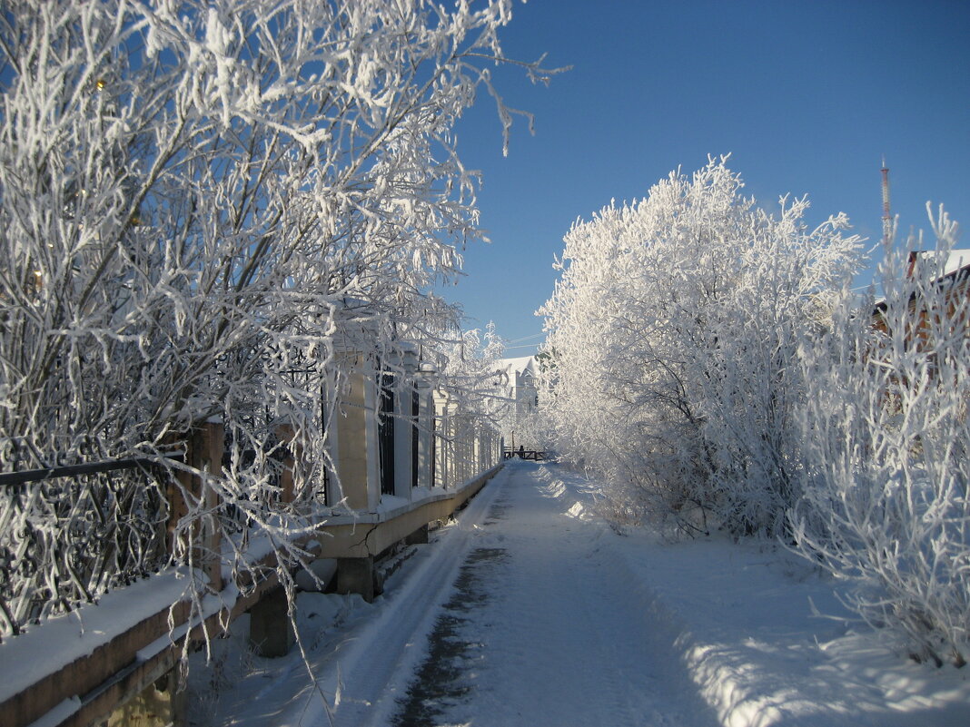 Зима - Anna Ivanova