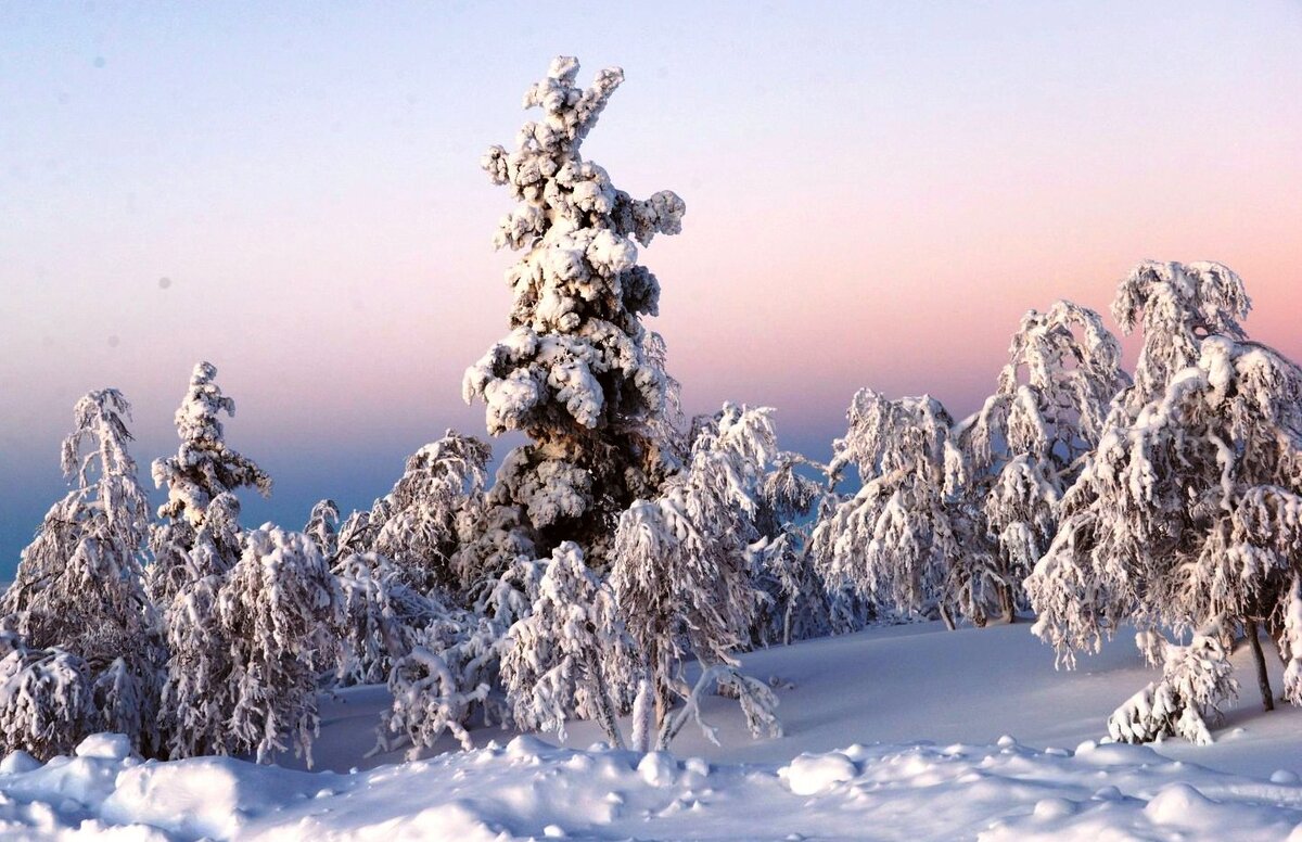 Морозное утро в Лапландии.  Финляндия - ГЕНРИХ 