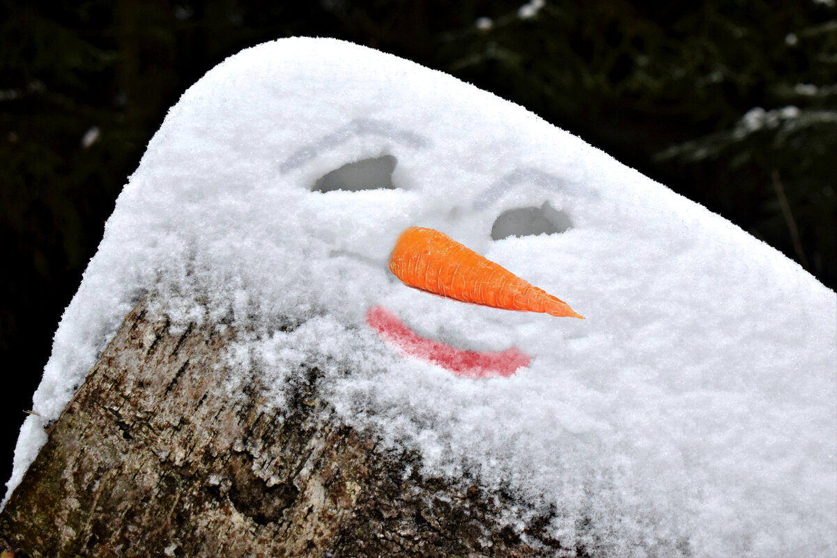 Снеговик не лепится? Нашли сугроб с глазами, морковку вместо носа и рот нарисовали! - Татьяна Помогалова
