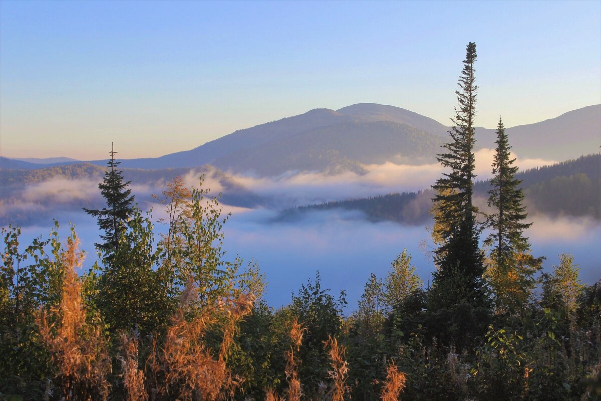 Утренний туман в долине - Сергей Чиняев 
