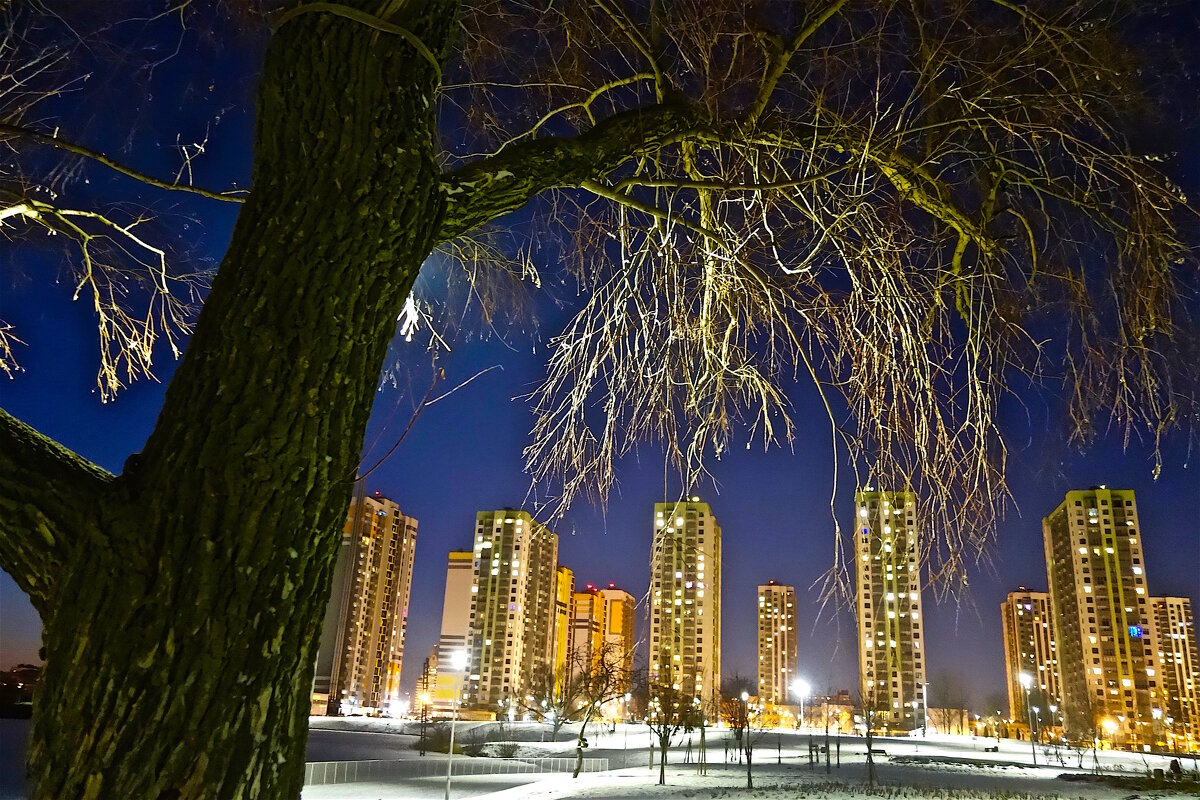 Декабрьский вечер в Купчино - Елена 