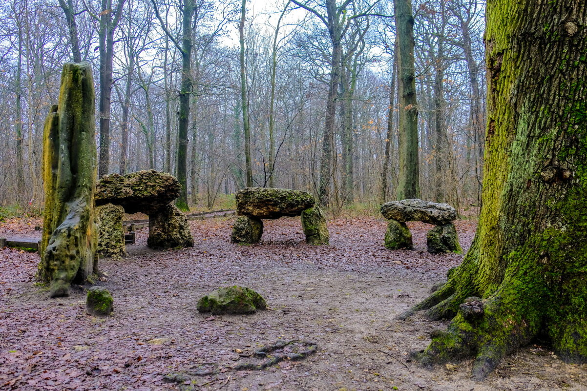 дольмены Медонского леса (foret de Meudon) - Георгий А