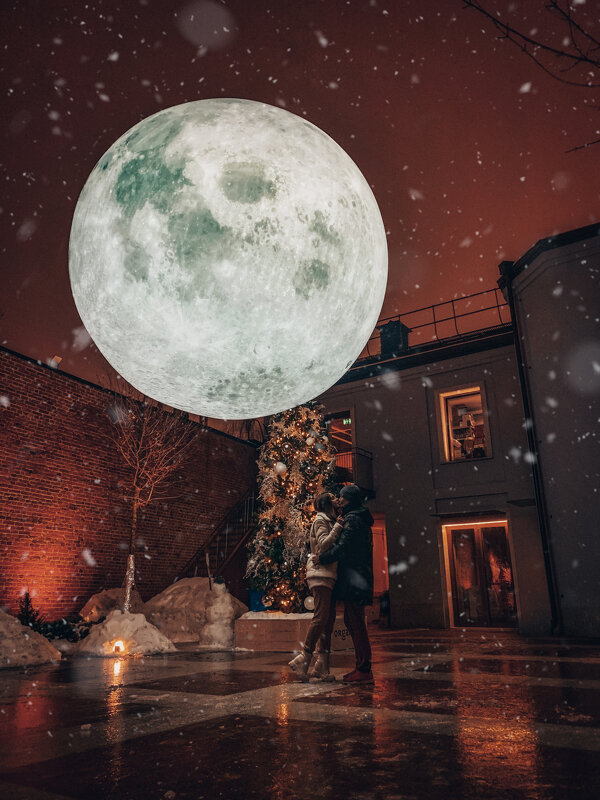 Лунный дворик - Добрый Ёж