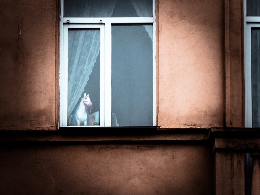 А в окно смотрела грустная лошадь - Игорь Викторов