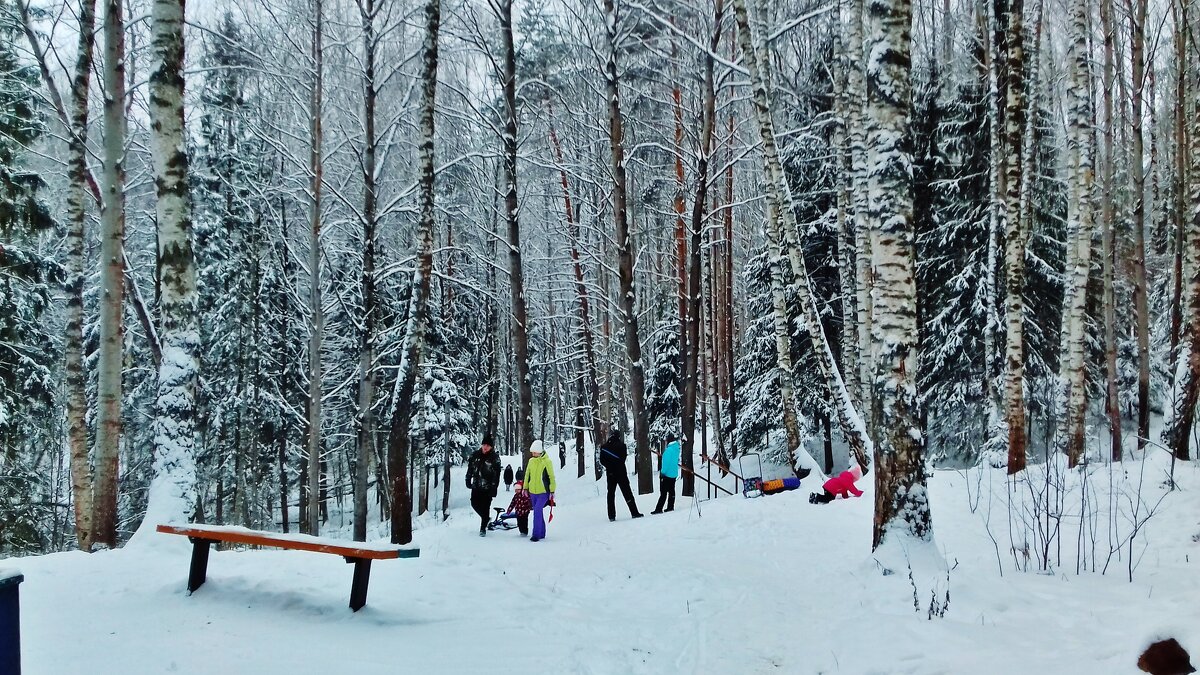 на природе - Владимир 