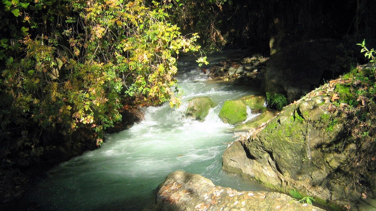 Река Баниас - Гала 