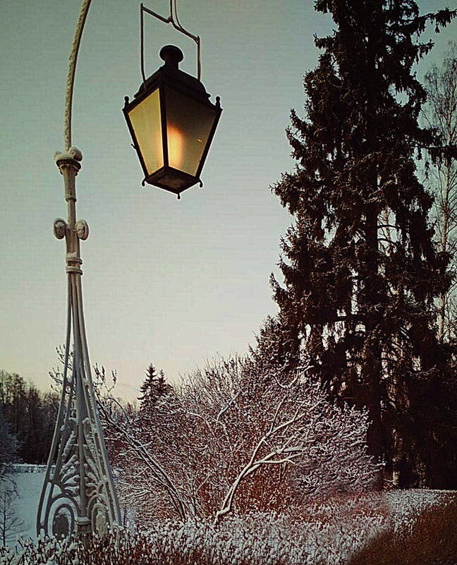 Светоч павловского парка... - Tatiana Markova