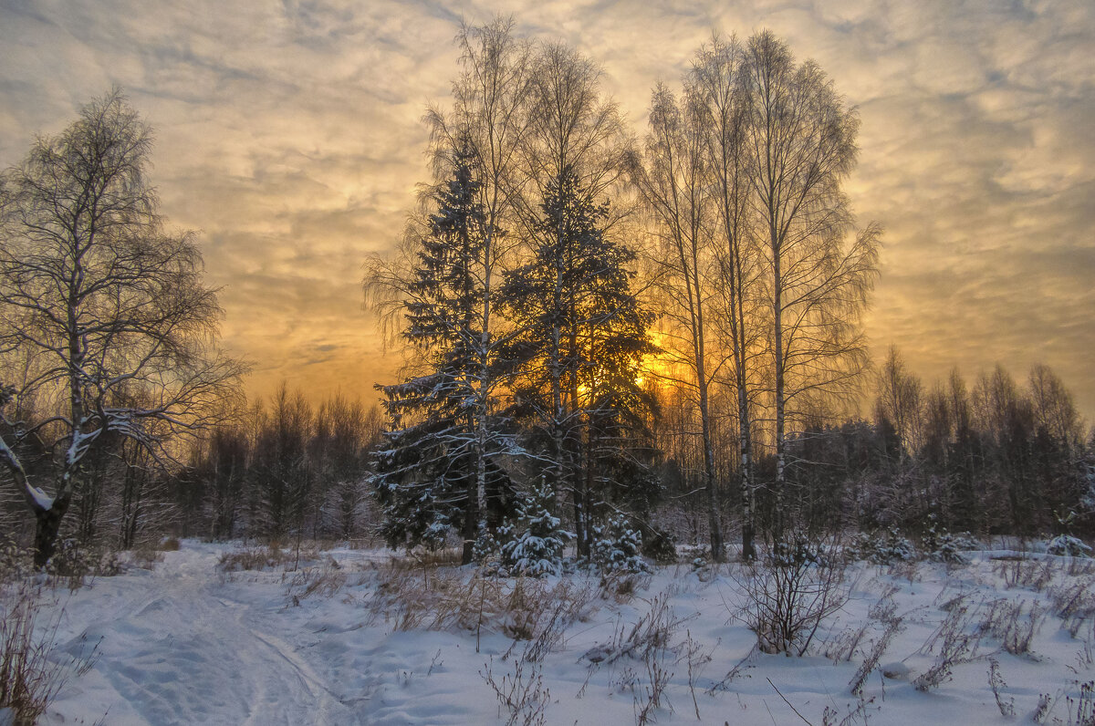 Короток январский день - Сергей Цветков