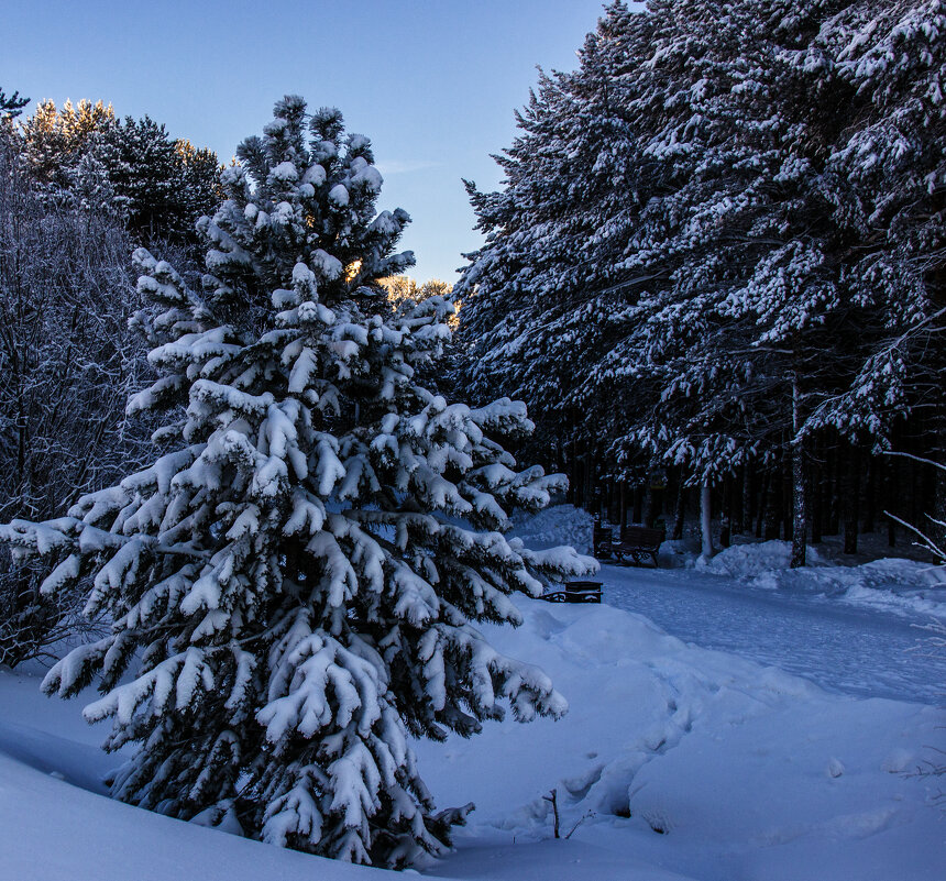 Красота зимы - Андрей К