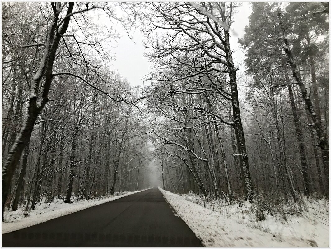 Зимняя дорога в лесу. - Валерия Комова