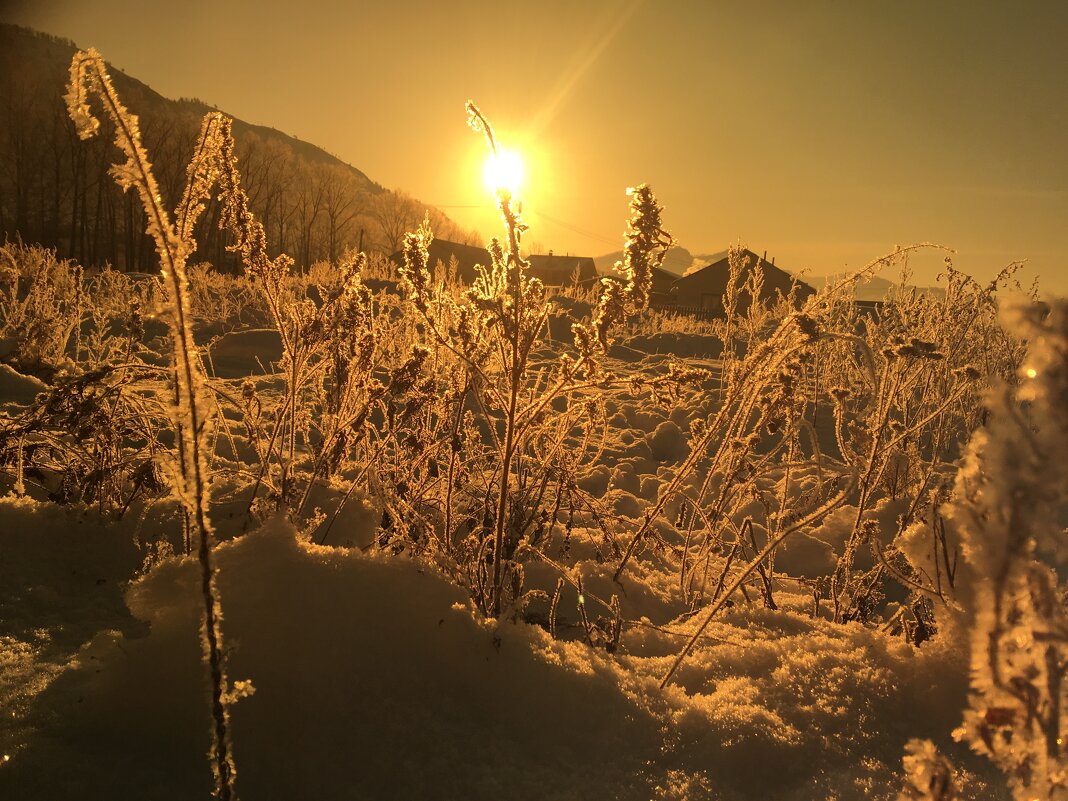 Зимнее утро в Чемале - Эдуард Алмадаков