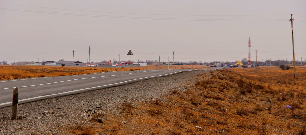 Поселок в пустыне - Вячеслав Случившийся