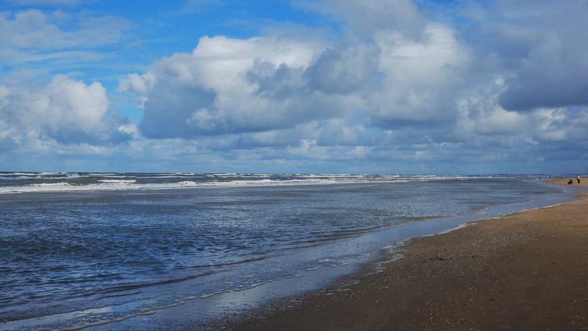 Zandvoort aan Zee Нидерланды - wea *