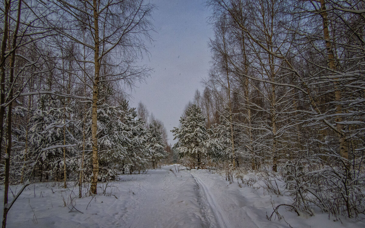 Зимняя прогулка - Сергей Цветков