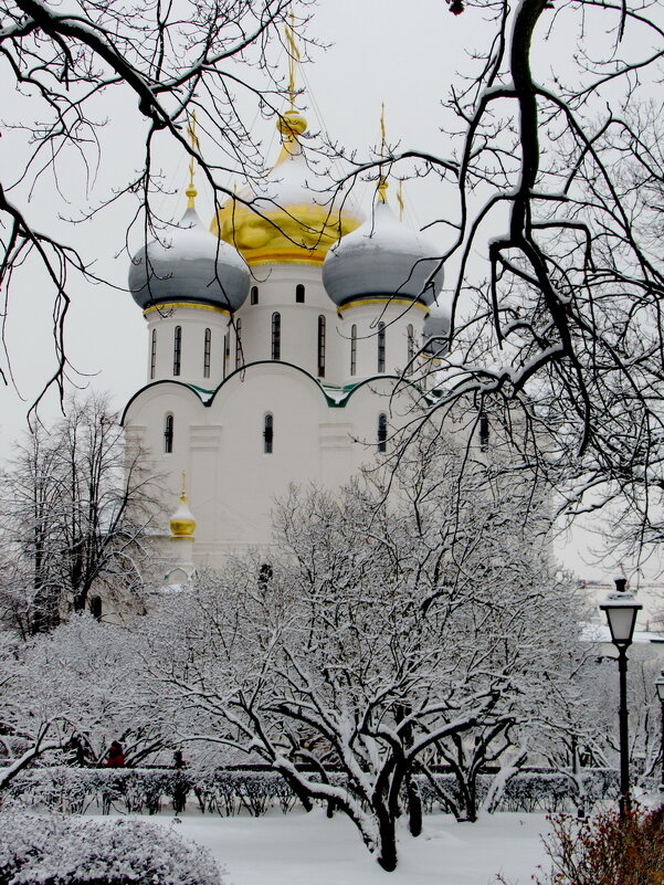 Зимний собор - Александр Чеботарь