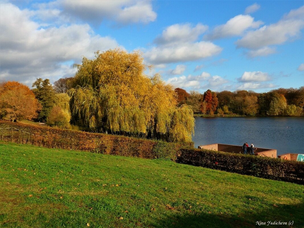 Stadtpark Hamburg - Nina Yudicheva