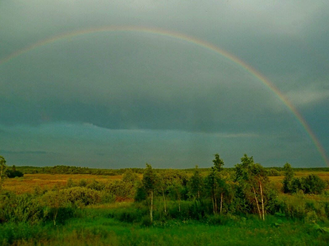 БЕЛОЗЕРСК. - Виктор Осипчук