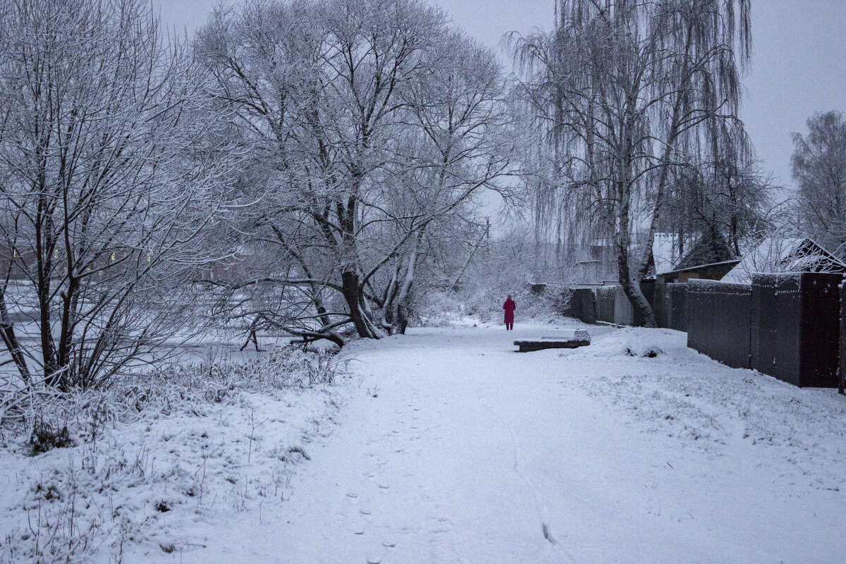 Дама в красном - оксана 