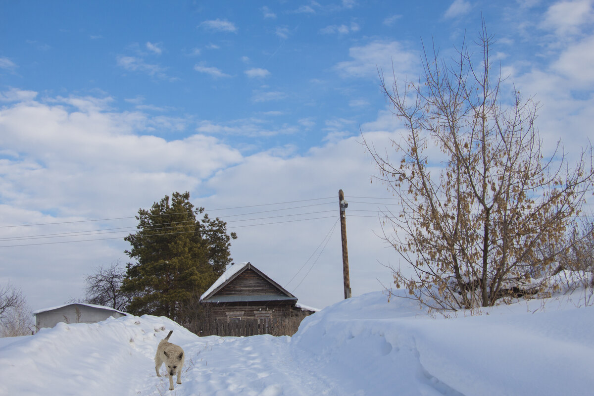 ... - Валерий 