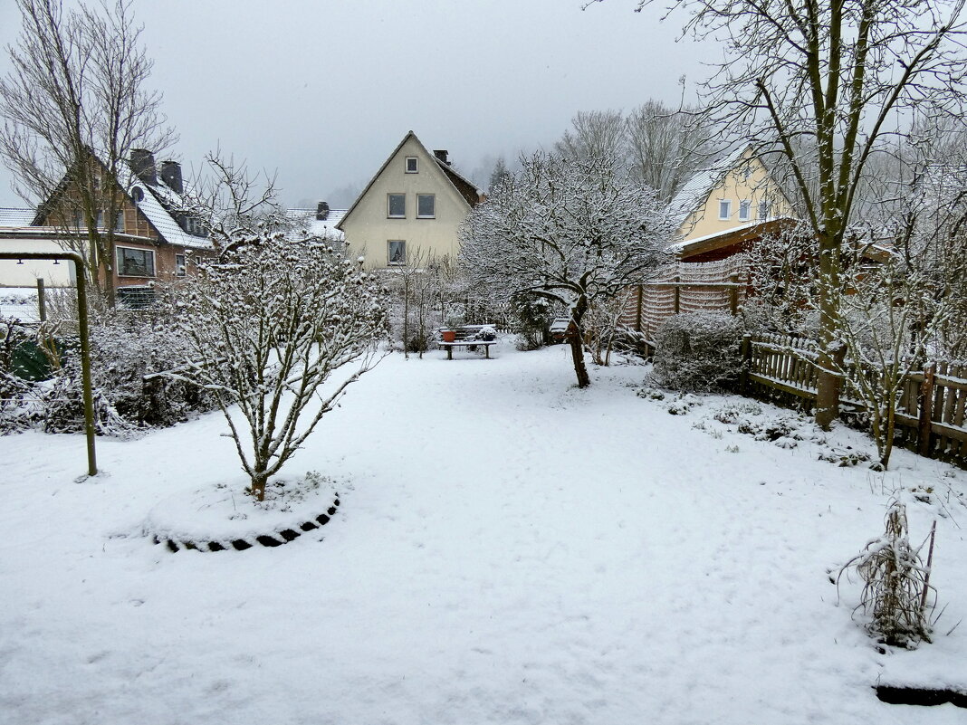 Снег в саду - Heinz Thorns