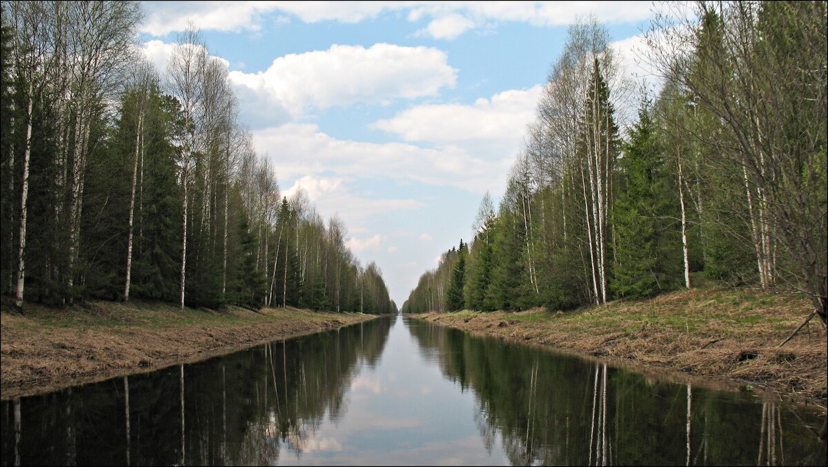 Екатерининский канал Солнечногорск