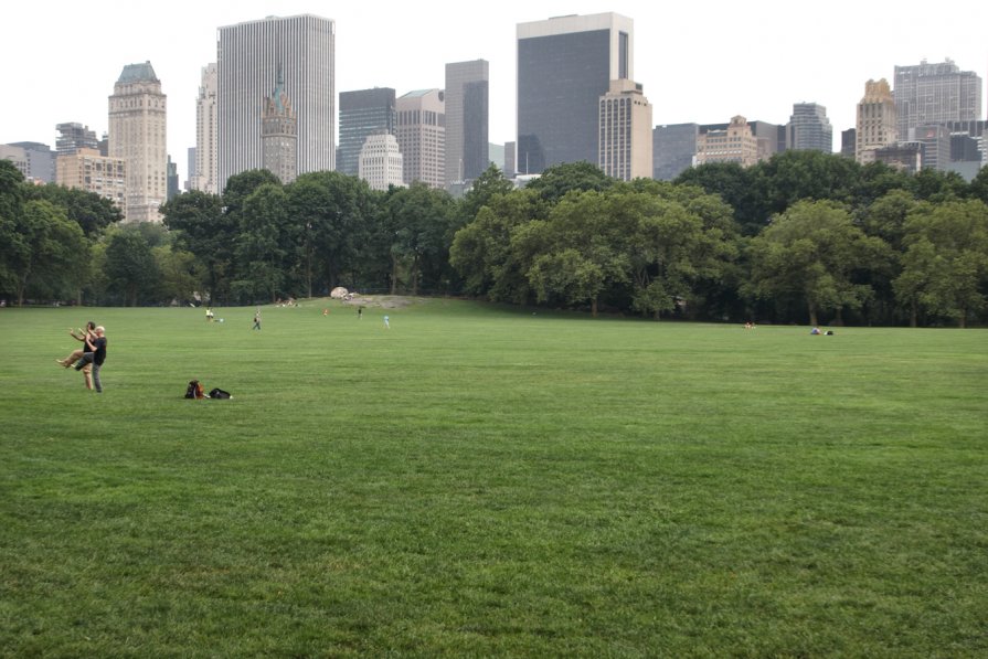 Central Park - Юлия Тимофеева