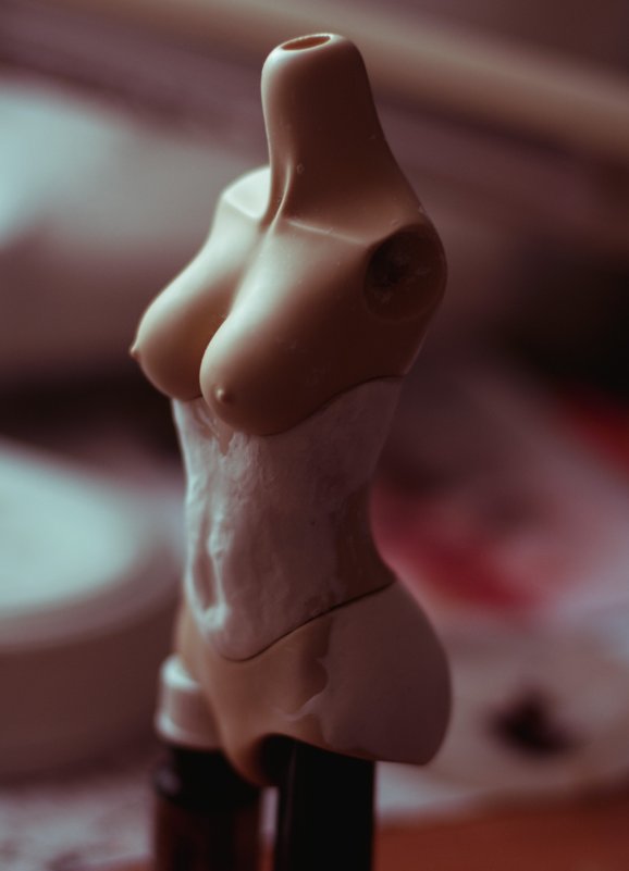 Статуя из пластмассовой плоти - Анна Вселюбская