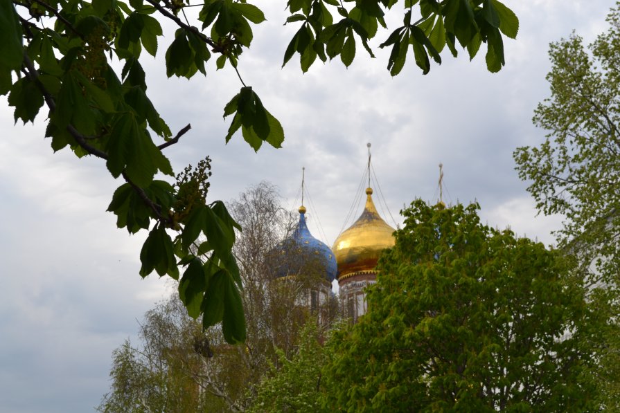 Храм на Соборной в Рязани - Ирина Юдина