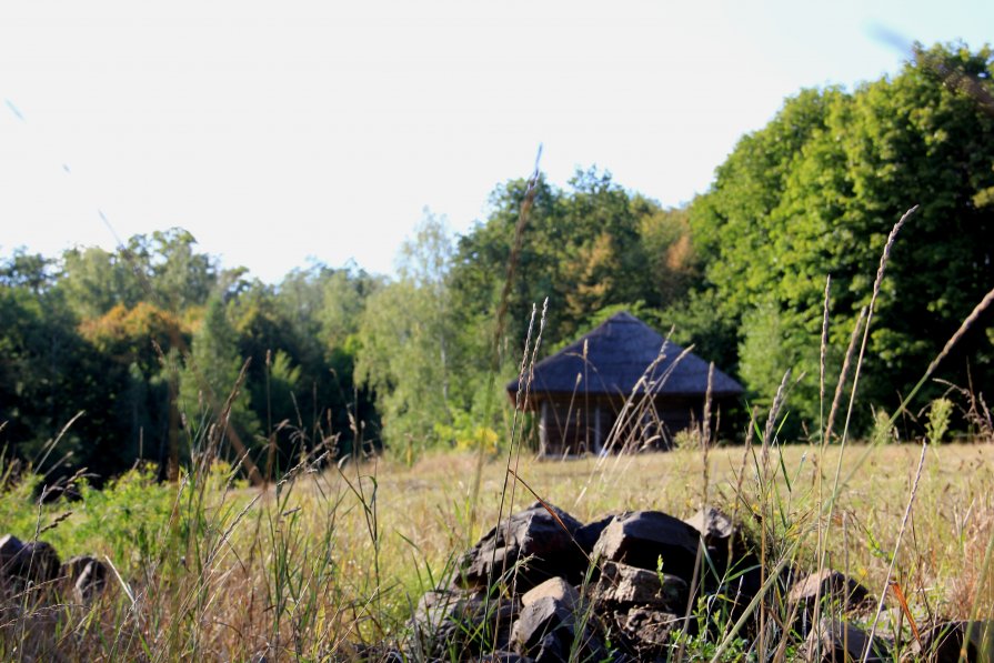 House in the forest - Роман Комина