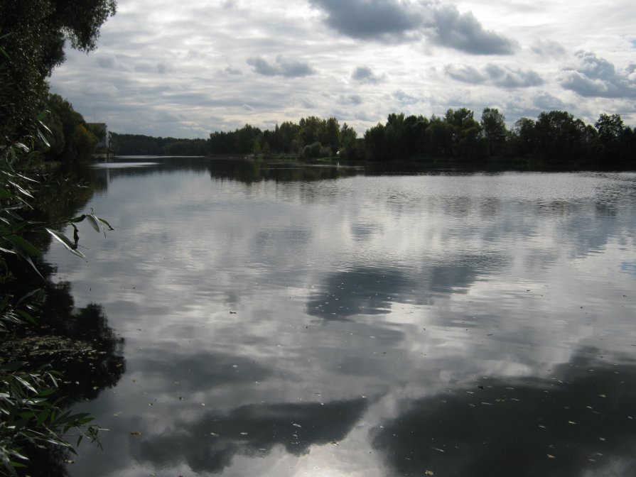 Стальная вода - Ирина Березкина