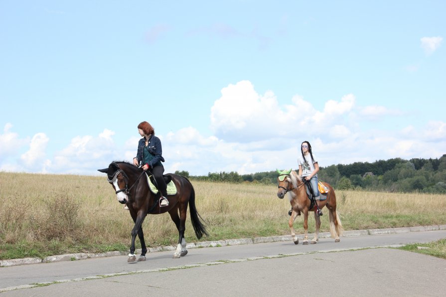 Horse riders - Роман Комина