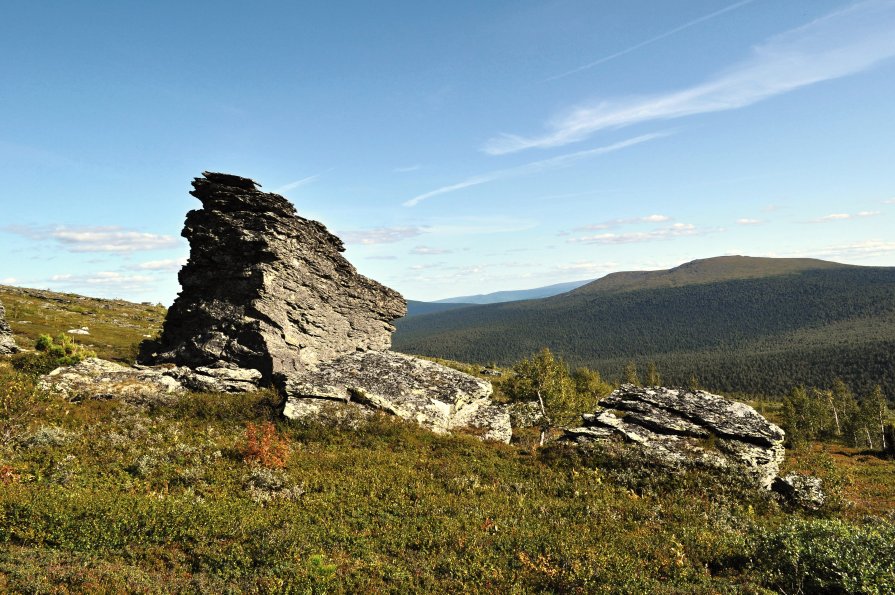 *** - Денис Нечаев