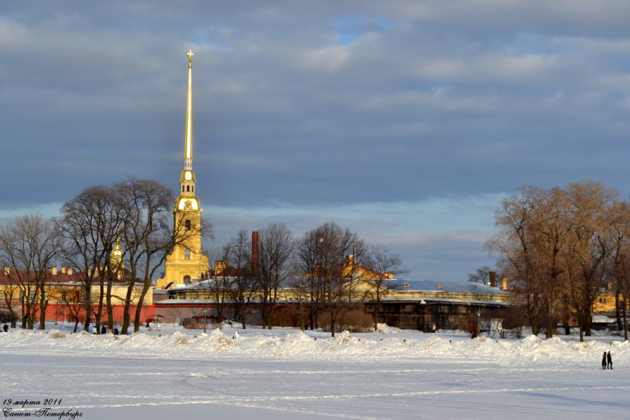 Петропавловский собор зимой СПБ