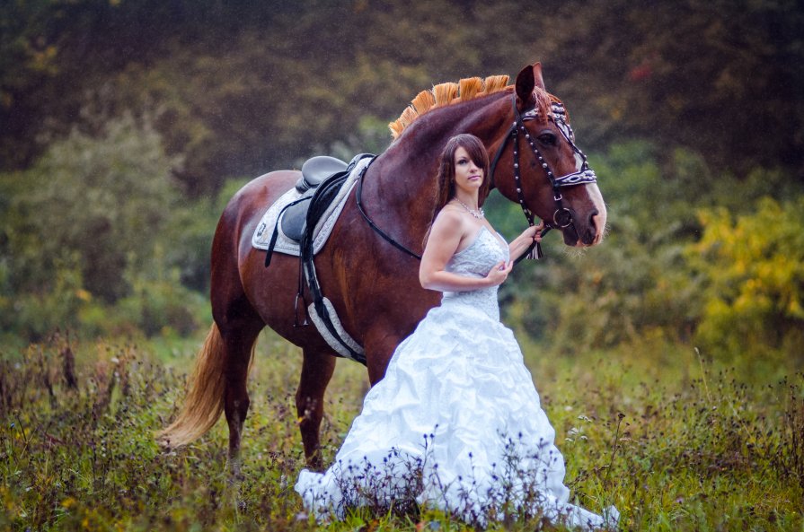 A girl, a horse and rain... - Vladimir Vagner