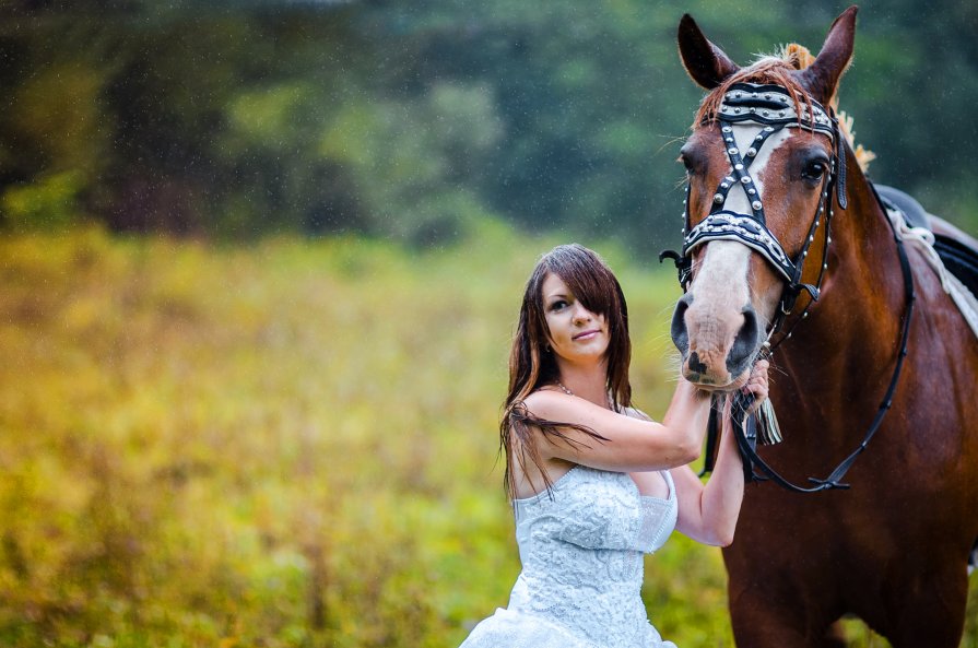 A girl, a horse and rain... - Vladimir Vagner