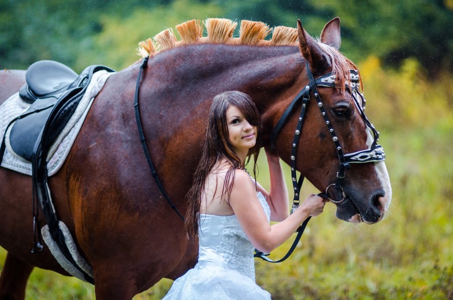 A girl, a horse and rain... - Vladimir Vagner