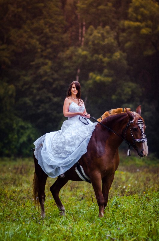 A girl, a horse and rain... - Vladimir Vagner