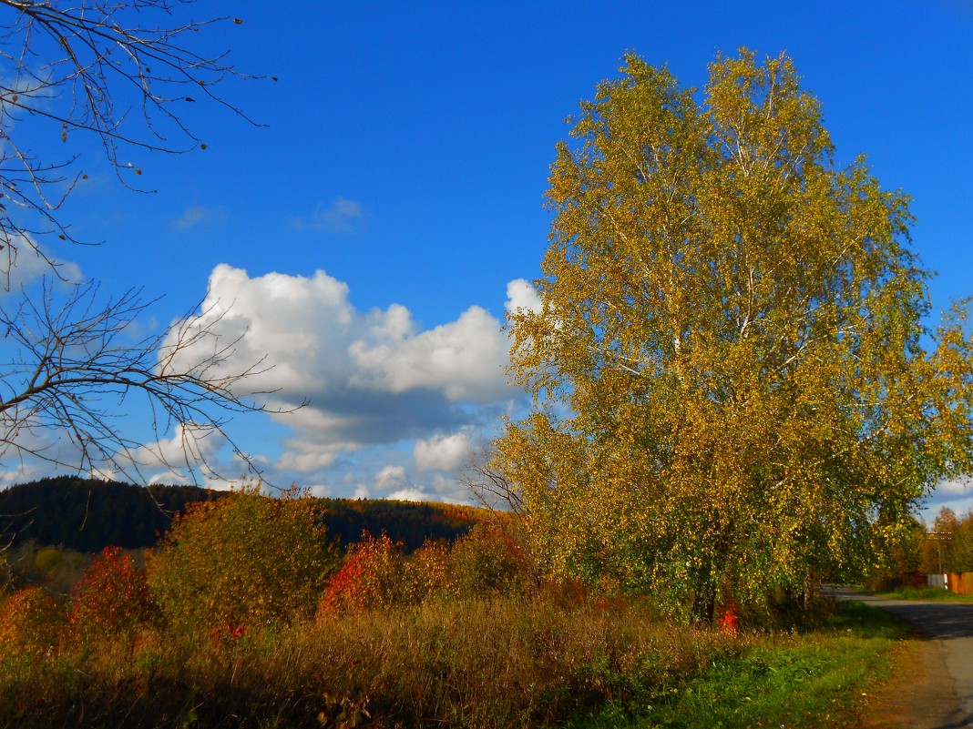 Осень - Полина Николаева