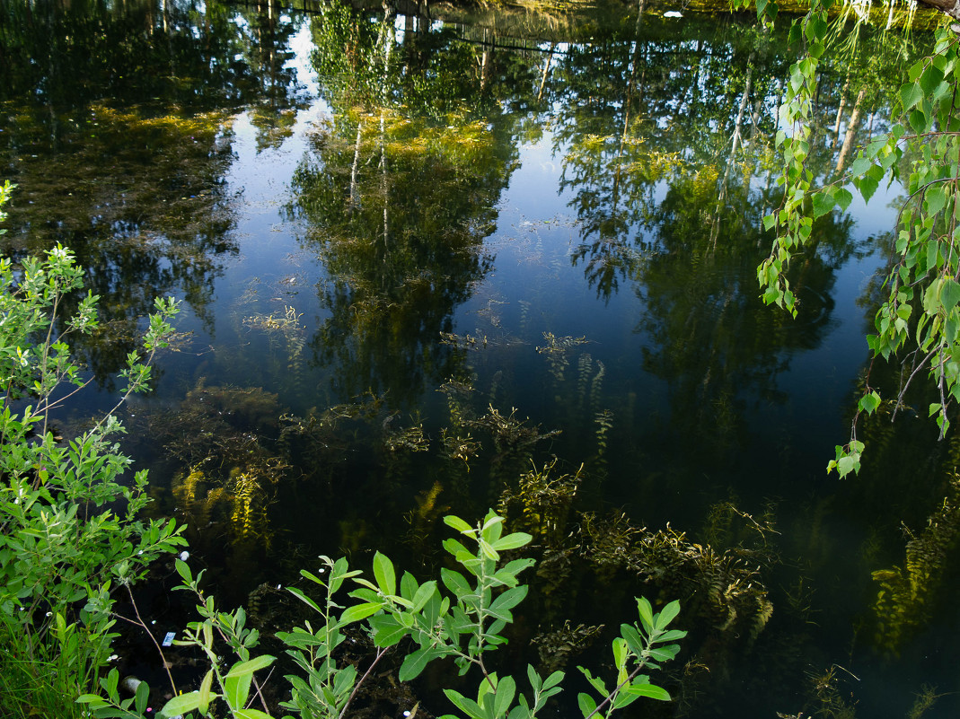 У воды - Марк Э