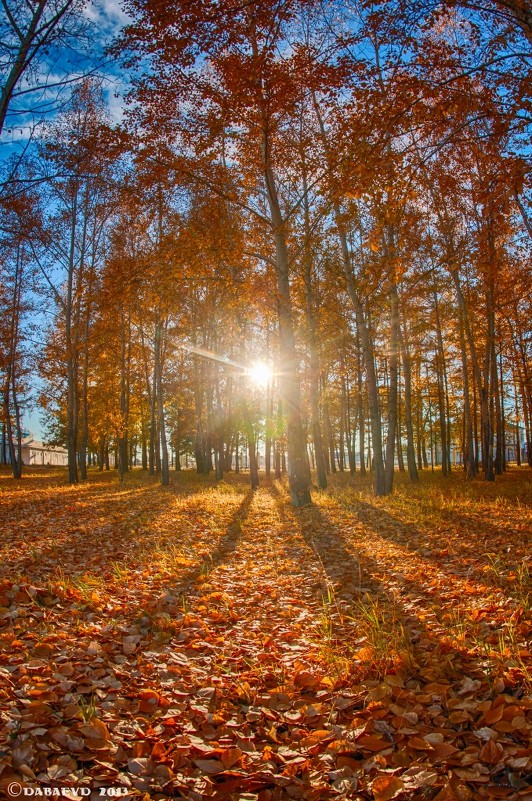 Осень в Забайкалье - Даба Дабаев