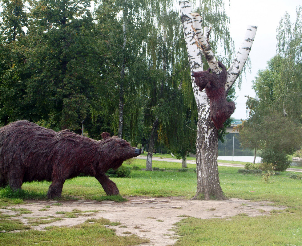 Есть медведи на улицах в России !!! - Владислав Мишин