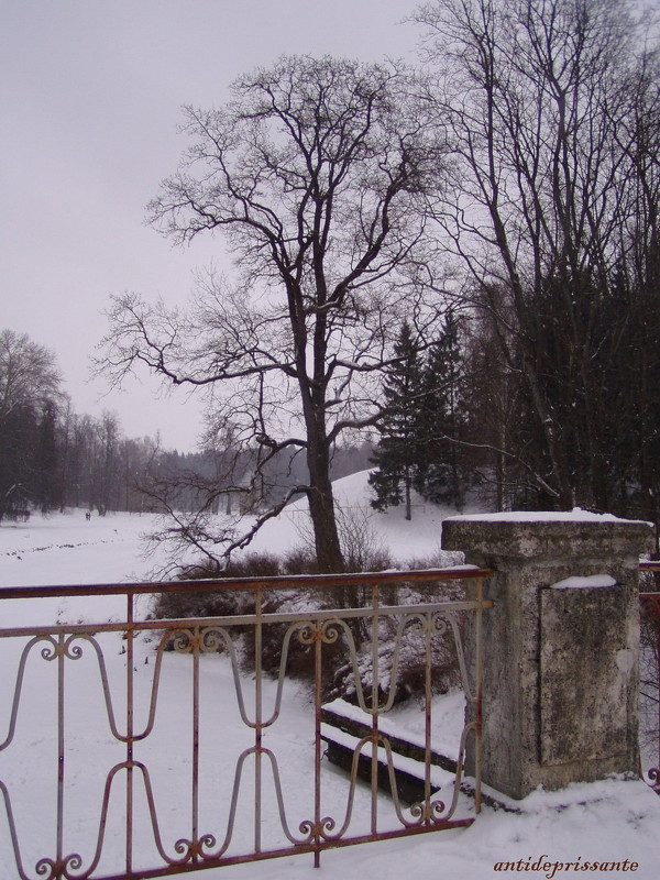 Павловск зимний - vadim 