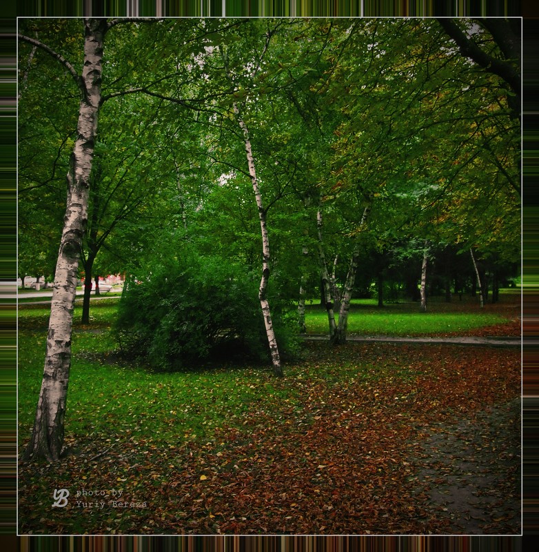 осенние цвета городских парков #2 - Юрий Береза