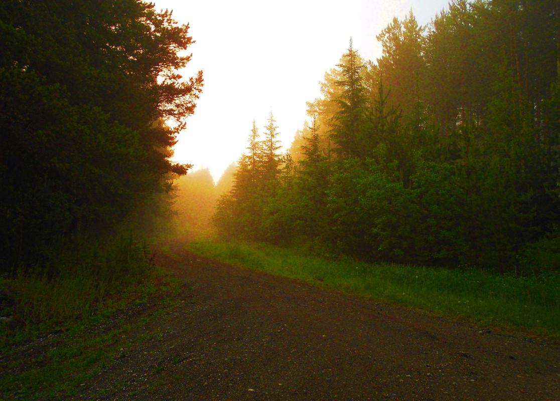 Рассвет в утреннем тумане - Александр Швецов