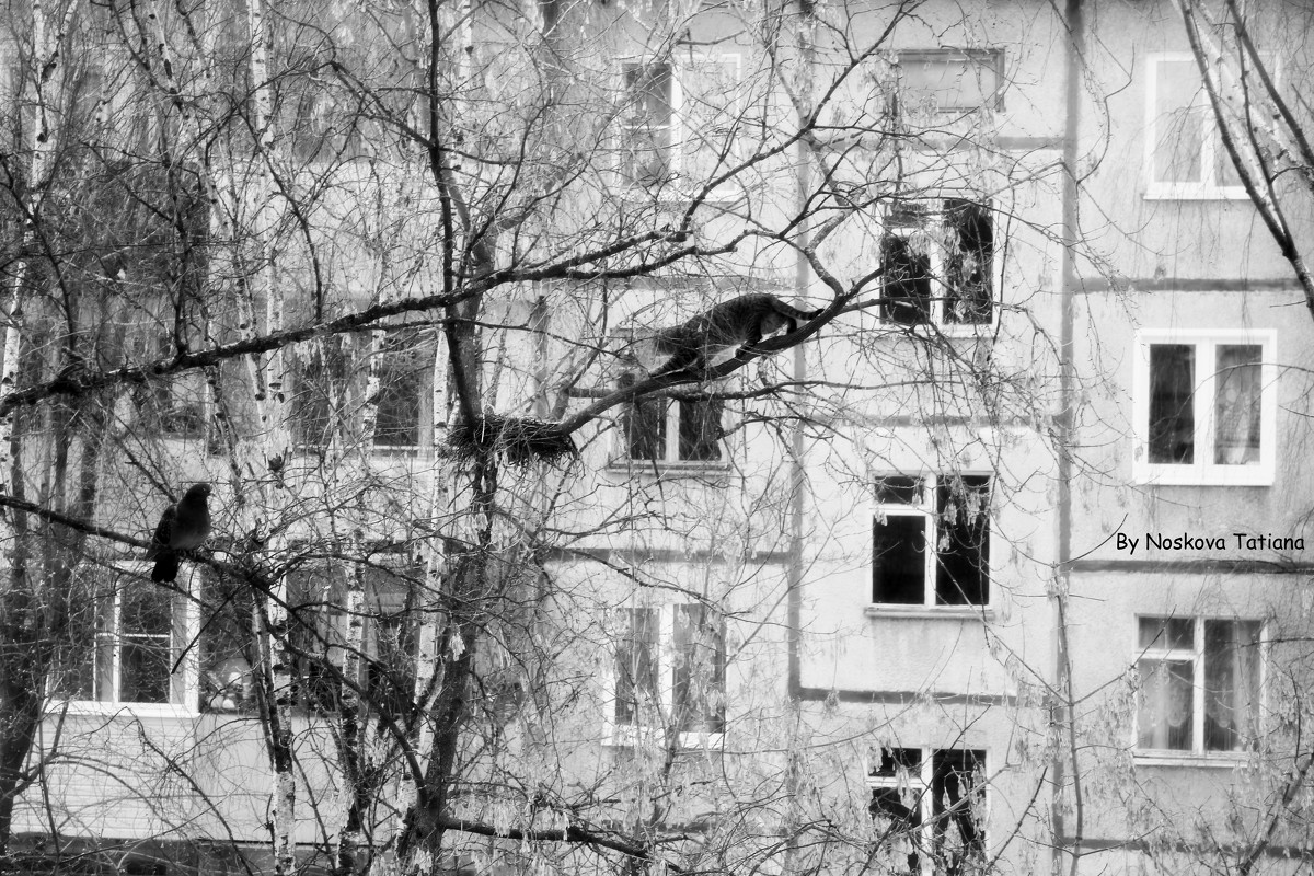 Охота на птицу - Татьяна Носкова